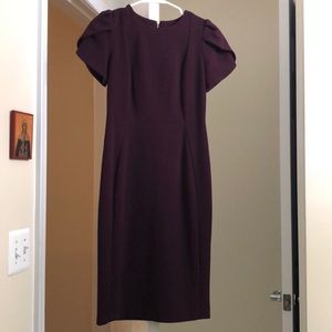 Calvin Klein Size 4 Plum Dress